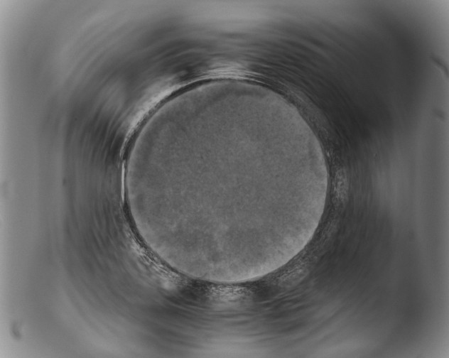 X0000103961323200810311605