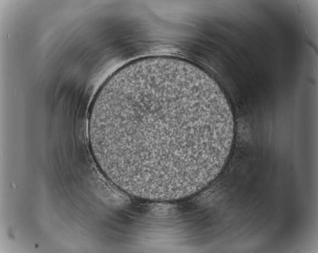 X0000103961324200810311605