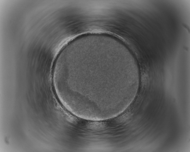 X0000103961327200810311605