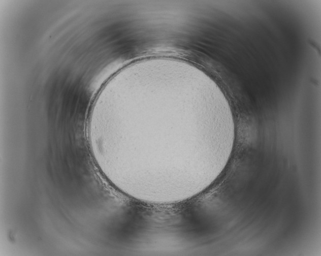 X0000103961328200810311605