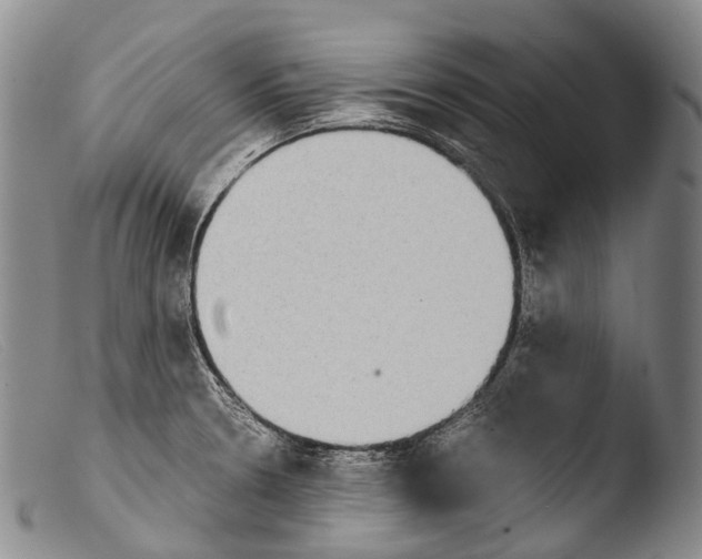 X0000103961330200810311605
