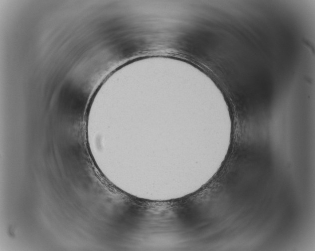 X0000103961332200810311605