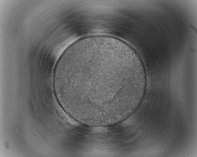 X0000103961333200810311605