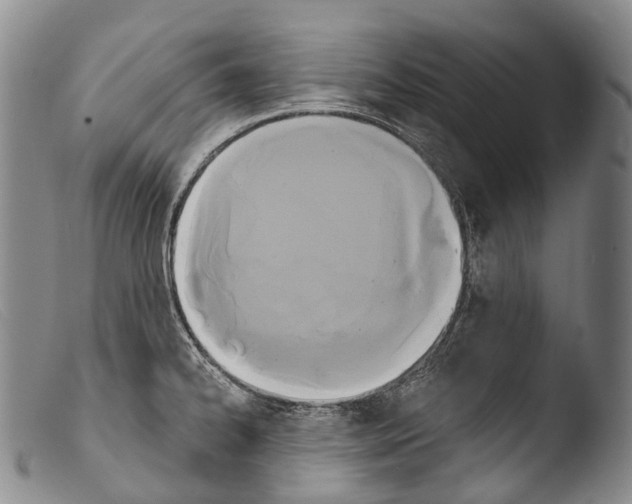 X0000103961334200810311605