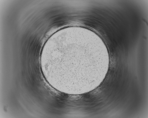 X0000103961335200810311605