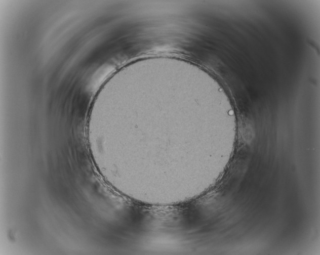 X0000103961336200810311605