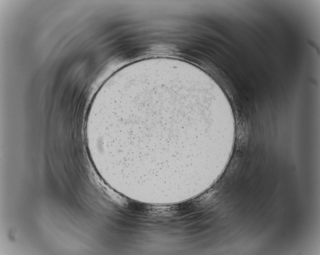 X0000103961339200810311605