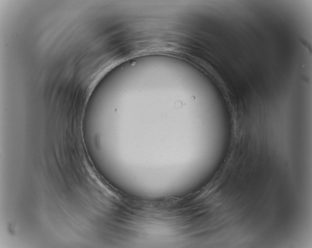 X0000103961340200810311605