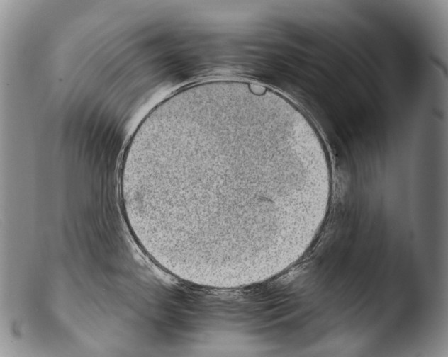 X0000103961341200810311605