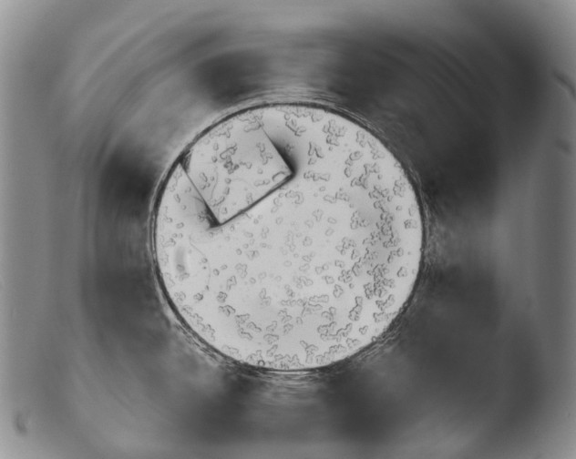 X0000103961342200810311605