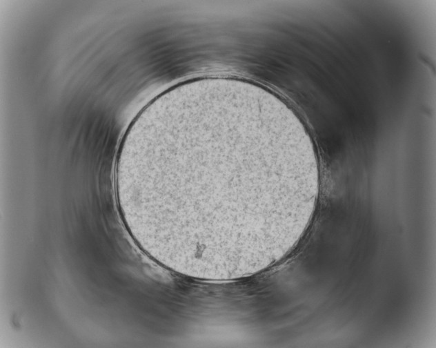 X0000103961343200810311605