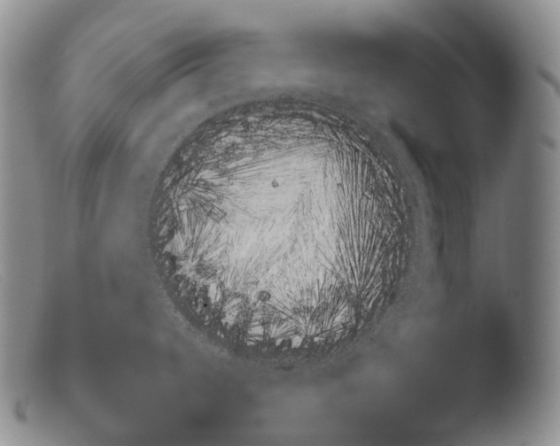 X0000103961344200810311605