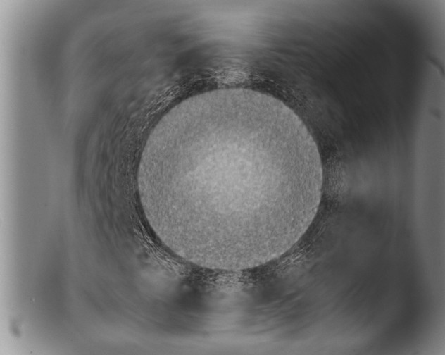 X0000103961345200810311604