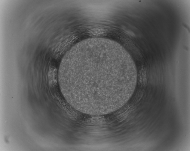 X0000103961346200810311604
