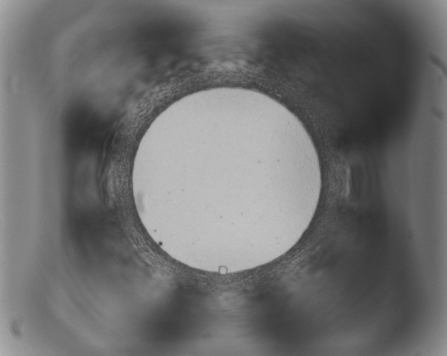 X0000103961348200810311604