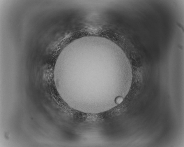 X0000103961349200810311604