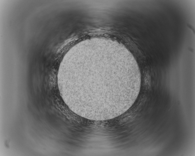 X0000103961350200810311604