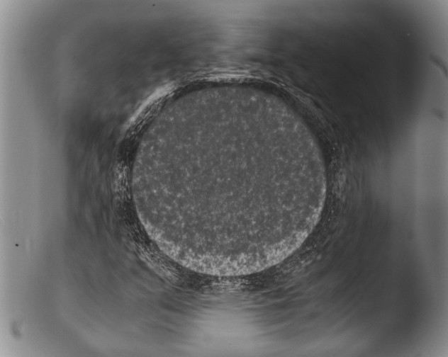 X0000103961351200810311604
