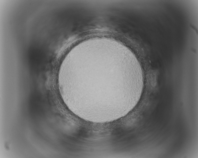 X0000103961352200810311604