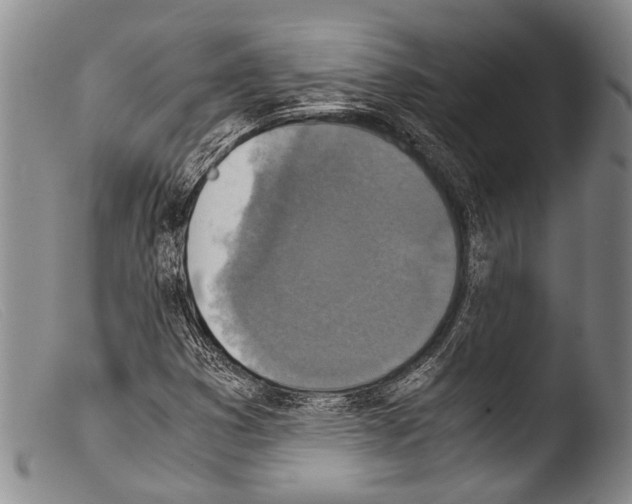 X0000103961353200810311604