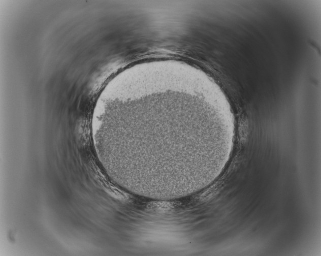 X0000103961355200810311604