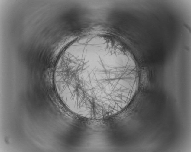X0000103961356200810311604
