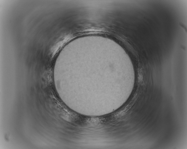 X0000103961357200810311604