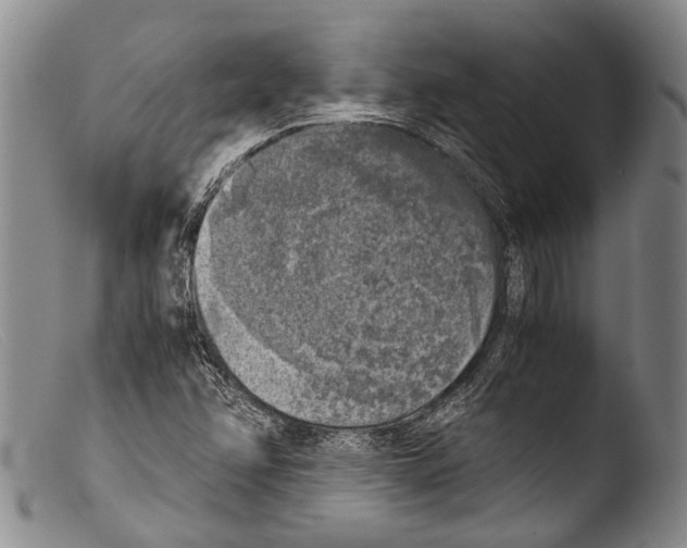X0000103961358200810311604