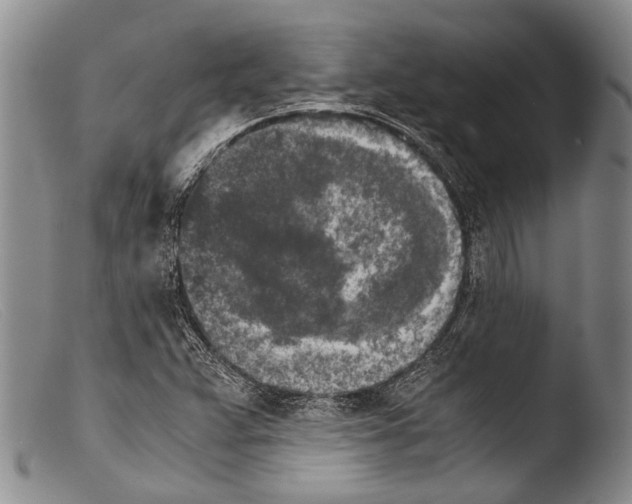 X0000103961359200810311604