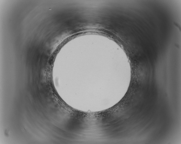 X0000103961360200810311604