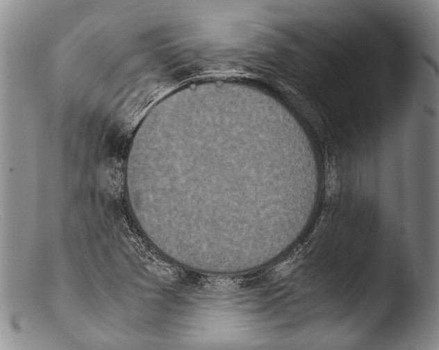 X0000103961361200810311604