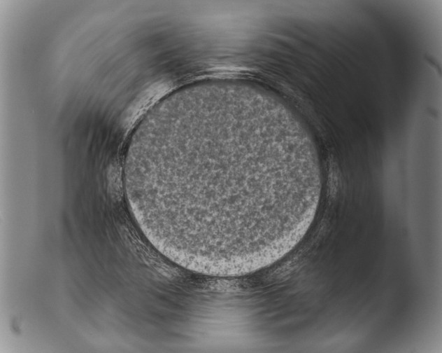 X0000103961362200810311604