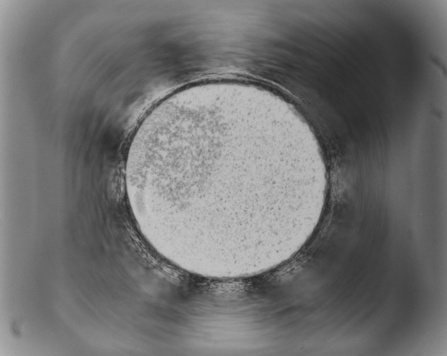 X0000103961363200810311604