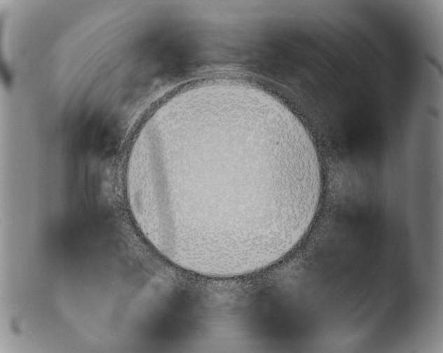 X0000103961364200810311604