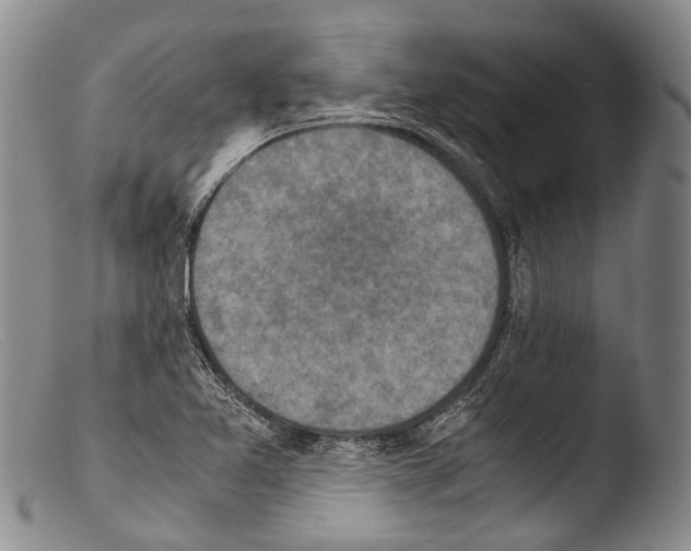 X0000103961365200810311604