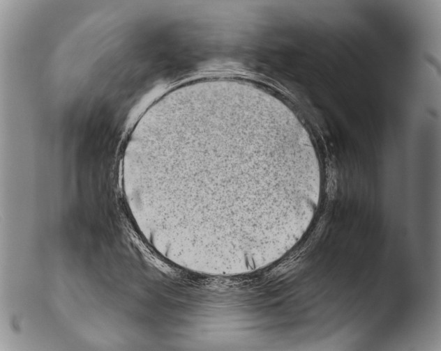 X0000103961366200810311604