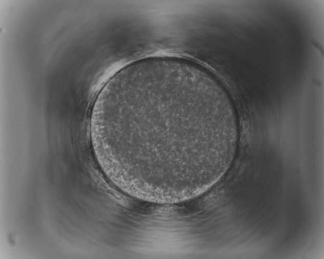 X0000103961367200810311604