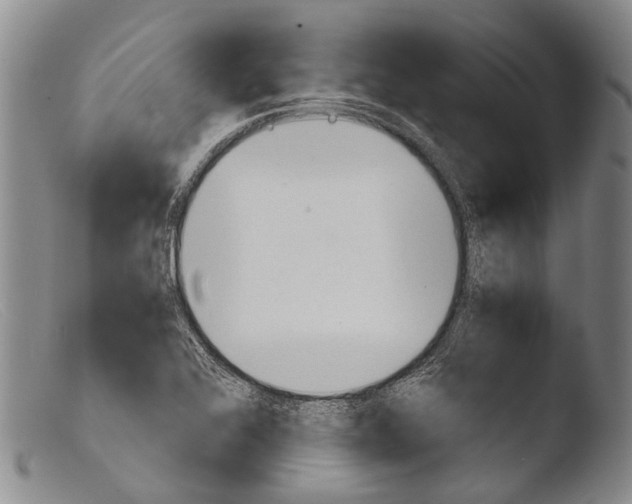 X0000103961368200810311604