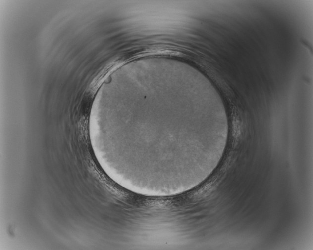 X0000103961369200810311604