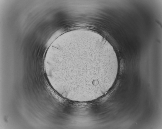 X0000103961370200810311604