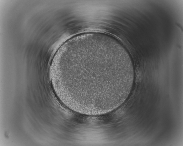 X0000103961371200810311604