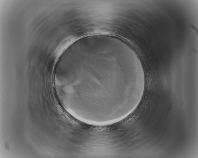 X0000103961373200810311604
