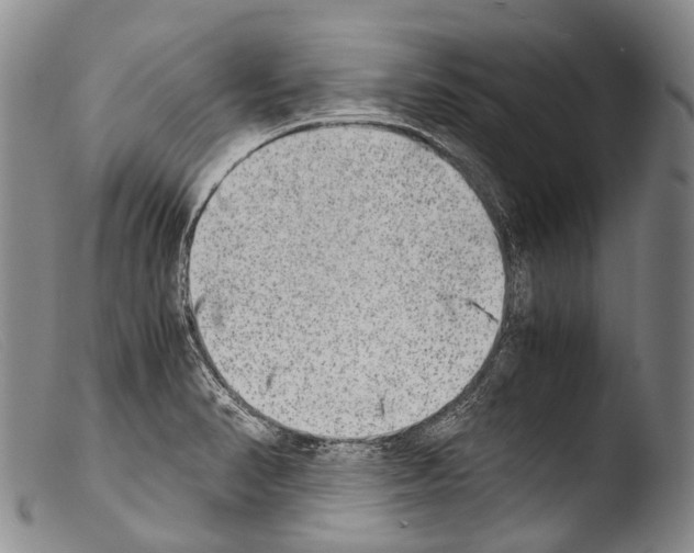 X0000103961374200810311604