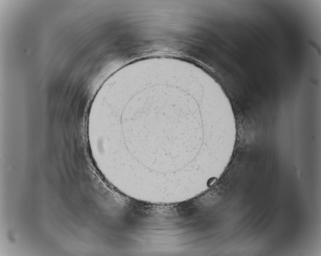 X0000103961375200810311604