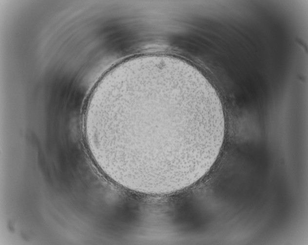 X0000103961376200810311604