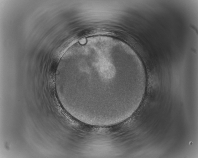 X0000103961377200810311604
