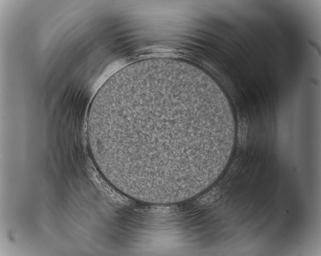 X0000103961378200810311604