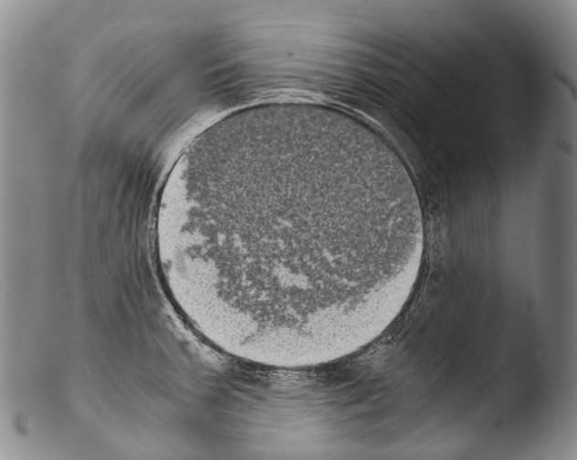 X0000103961379200810311604