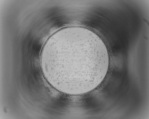 X0000103961380200810311604