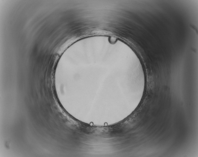 X0000103961381200810311604